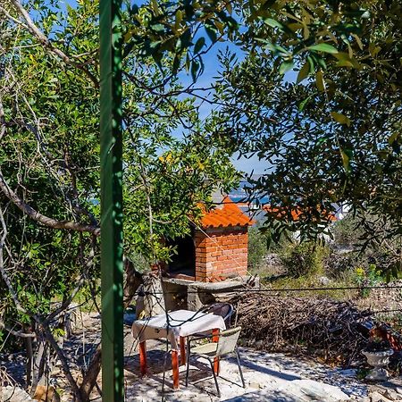 Apartments Stara Maslina スラティネ エクステリア 写真